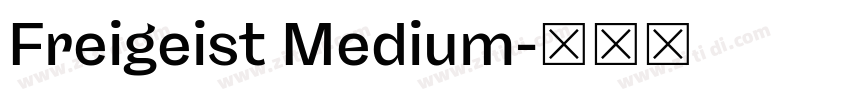 Freigeist Medium字体转换 Freigeist Medium字体转换